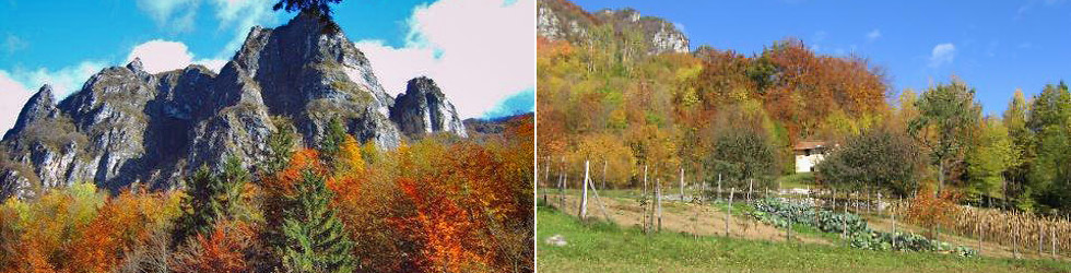 Posina-autunno.jpg