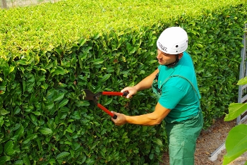 Cura e manutenzione delle aree verdi private